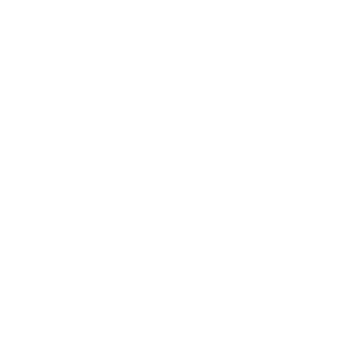 中圈